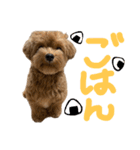 麦！！！！！！！②（個別スタンプ：24）
