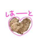 麦！！！！！！！②（個別スタンプ：28）