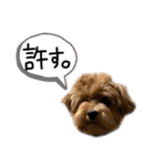 麦！！！！！！！②（個別スタンプ：29）