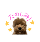 麦！！！！！！！②（個別スタンプ：30）