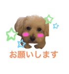NICOLE219♡（個別スタンプ：4）
