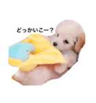 NICOLE219♡（個別スタンプ：8）
