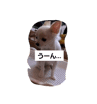 ちー汰すたんぷ 2（個別スタンプ：8）