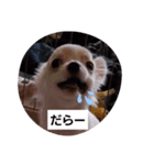ちー汰すたんぷ 2（個別スタンプ：10）
