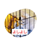 ちー汰すたんぷ 2（個別スタンプ：11）