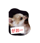 ちー汰すたんぷ 2（個別スタンプ：14）