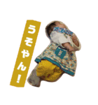 のんちゃんの成長記録（4～6）（個別スタンプ：7）