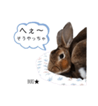 うさぎのぶりちゃん3（個別スタンプ：21）