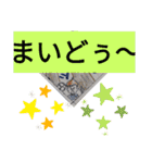 ゆっ玉シリーズ（個別スタンプ：10）