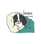 おいぬさまといっしょ（個別スタンプ：1）
