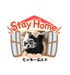 ウチのコ スタンプ ルド＆トラ2（個別スタンプ：7）