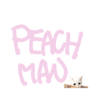 しろねこピーチマンvol.2（個別スタンプ：1）