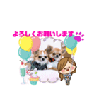 チワワ イブ＆ルイ敬語ver.（個別スタンプ：3）