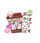 チワワ イブ＆ルイ敬語ver.（個別スタンプ：4）