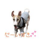 Tito....（個別スタンプ：19）