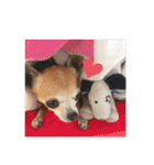 Tito....（個別スタンプ：22）