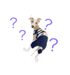 Tito....（個別スタンプ：36）