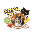 シェルティ   癒しのキキ（個別スタンプ：8）