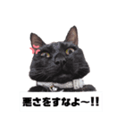 （ホワとクロ）（個別スタンプ：5）
