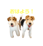 ぼろたんふぁ〜みりぃ3（個別スタンプ：1）