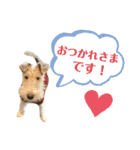 ぼろたんふぁ〜みりぃ3（個別スタンプ：4）