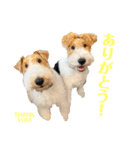 ぼろたんふぁ〜みりぃ3（個別スタンプ：6）