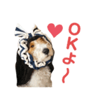 ぼろたんふぁ〜みりぃ3（個別スタンプ：8）
