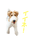 ぼろたんふぁ〜みりぃ3（個別スタンプ：10）