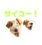 ぼろたんふぁ〜みりぃ3（個別スタンプ：11）