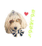 ぼろたんふぁ〜みりぃ3（個別スタンプ：14）