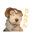 ぼろたんふぁ〜みりぃ3（個別スタンプ：16）