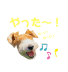 ぼろたんふぁ〜みりぃ3（個別スタンプ：18）