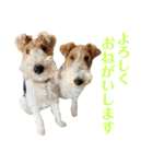 ぼろたんふぁ〜みりぃ3（個別スタンプ：20）