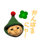 ぼろたんふぁ〜みりぃ3（個別スタンプ：21）