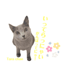 ぼろたんふぁ〜みりぃ3（個別スタンプ：22）