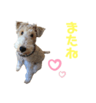 ぼろたんふぁ〜みりぃ3（個別スタンプ：24）