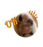 FOG the Shetland Sheepdog（個別スタンプ：10）