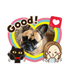 フレンチブルドックあずき（個別スタンプ：10）