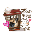 フレンチブルドックあずき（個別スタンプ：16）