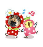 フレンチブルドックあずき（個別スタンプ：23）