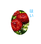 花にかこまれて（個別スタンプ：1）