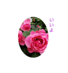 花にかこまれて（個別スタンプ：2）
