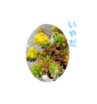 花にかこまれて（個別スタンプ：4）