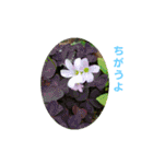花にかこまれて（個別スタンプ：6）