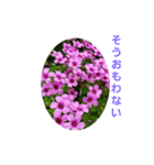 花にかこまれて（個別スタンプ：7）
