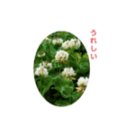 花にかこまれて（個別スタンプ：8）