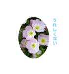 花にかこまれて（個別スタンプ：9）
