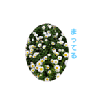 花にかこまれて（個別スタンプ：17）