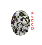 花にかこまれて（個別スタンプ：18）