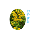 花にかこまれて（個別スタンプ：20）